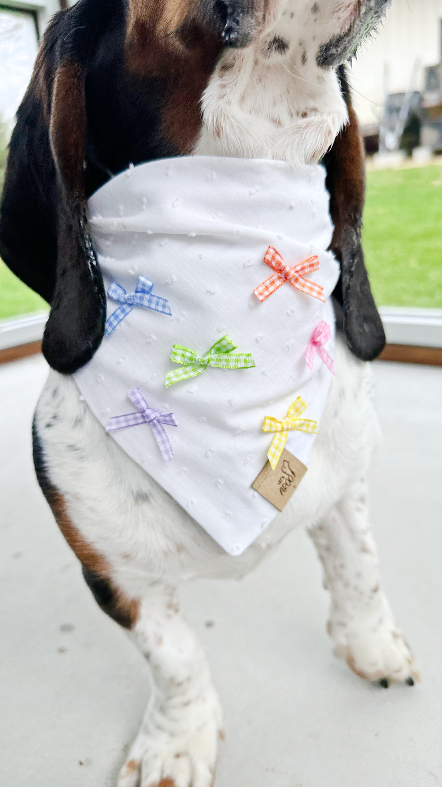 Coquette Bandana