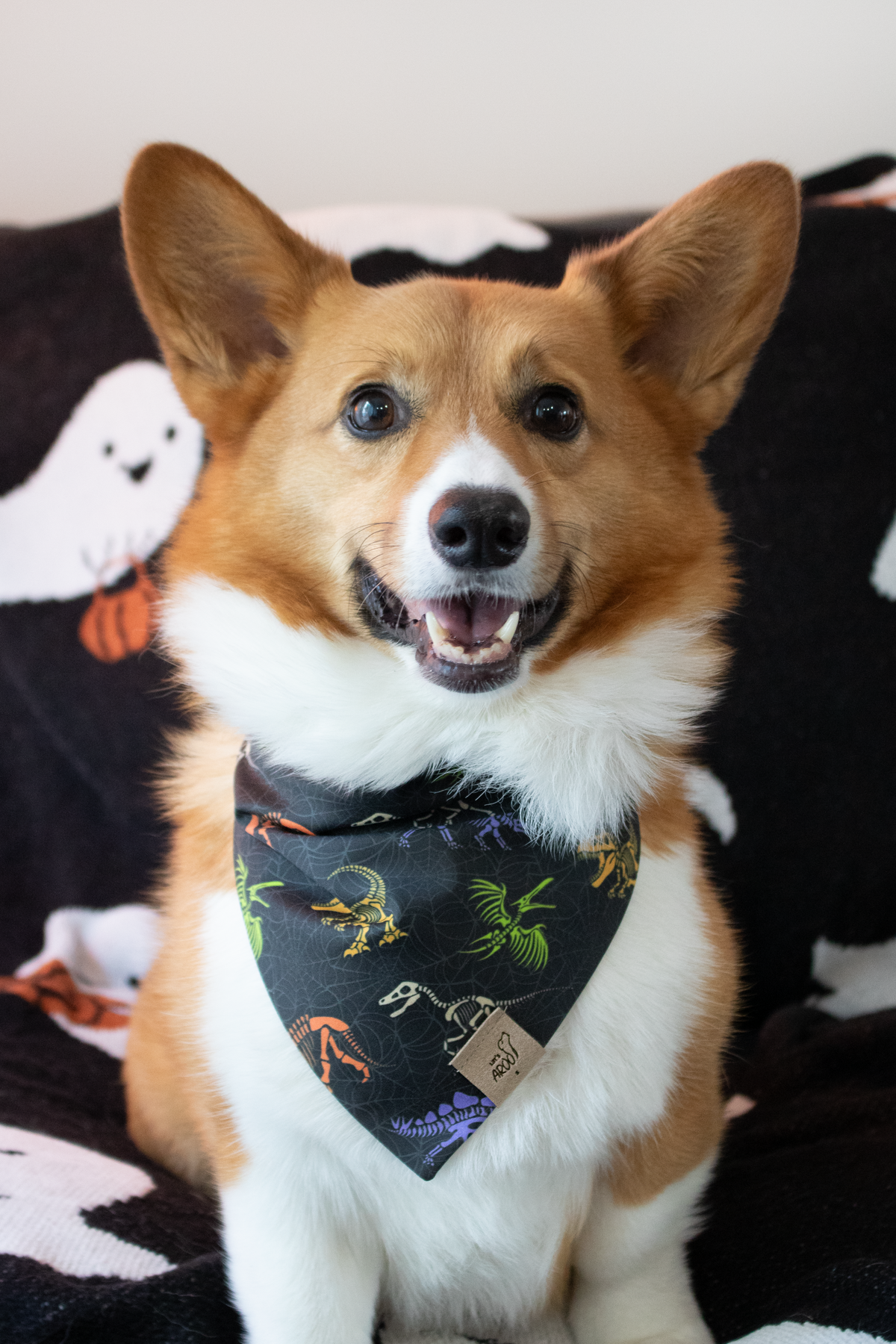 Dinosaur Skeletons Bandana