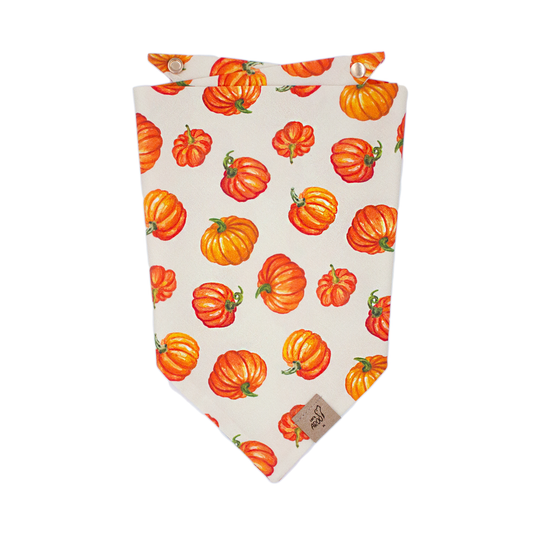 Oil Pastel Pumpkins Bandana
