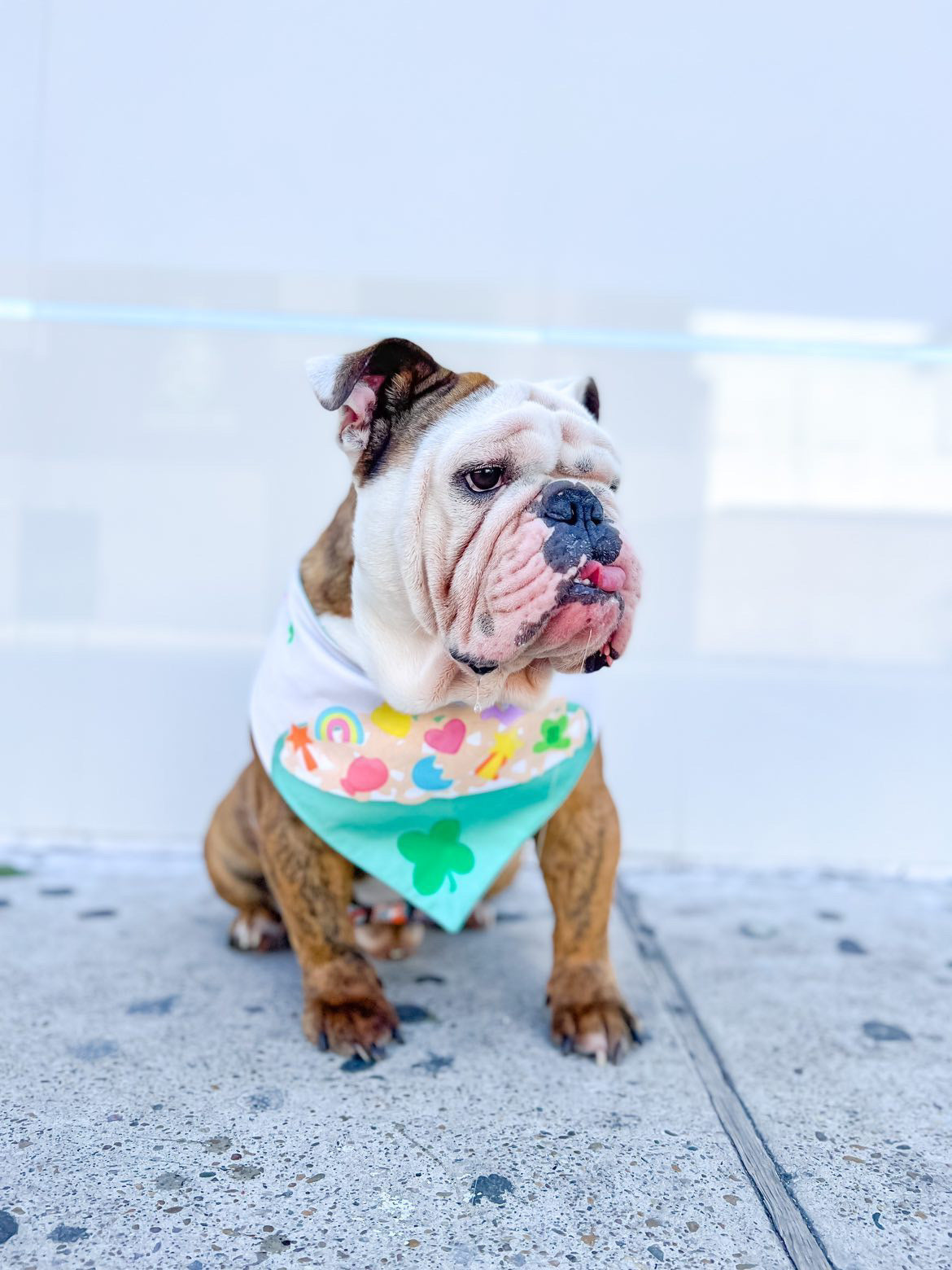 Lucky Charms Bandana