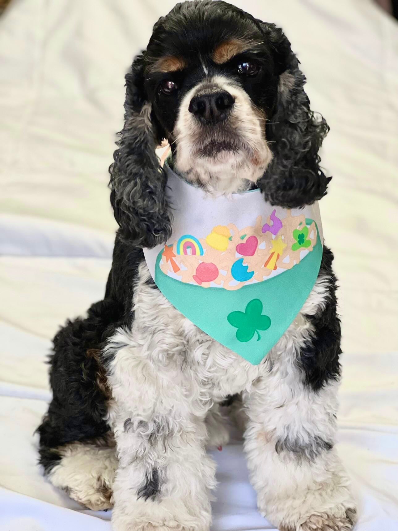 Lucky Charms Bandana
