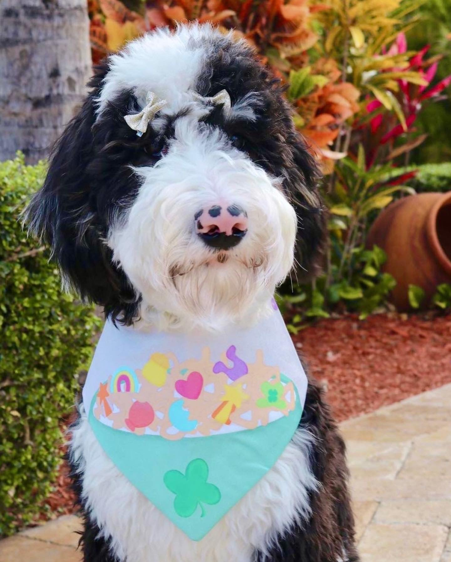 Lucky Charms Bandana