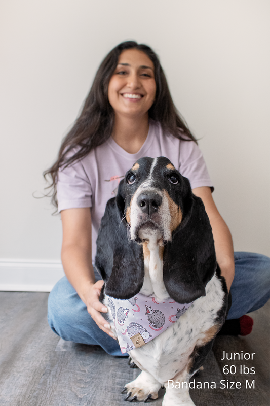Possum Bandana