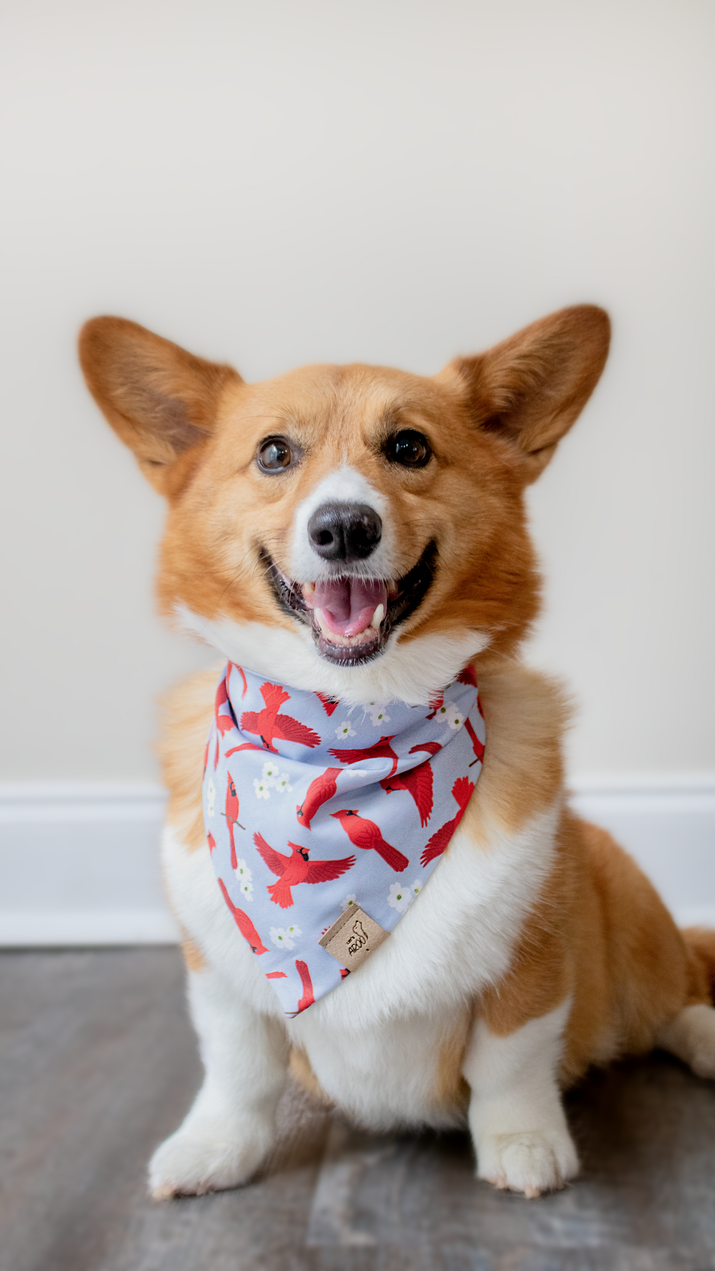 Virginia Cardinal and Dogwood Bandana