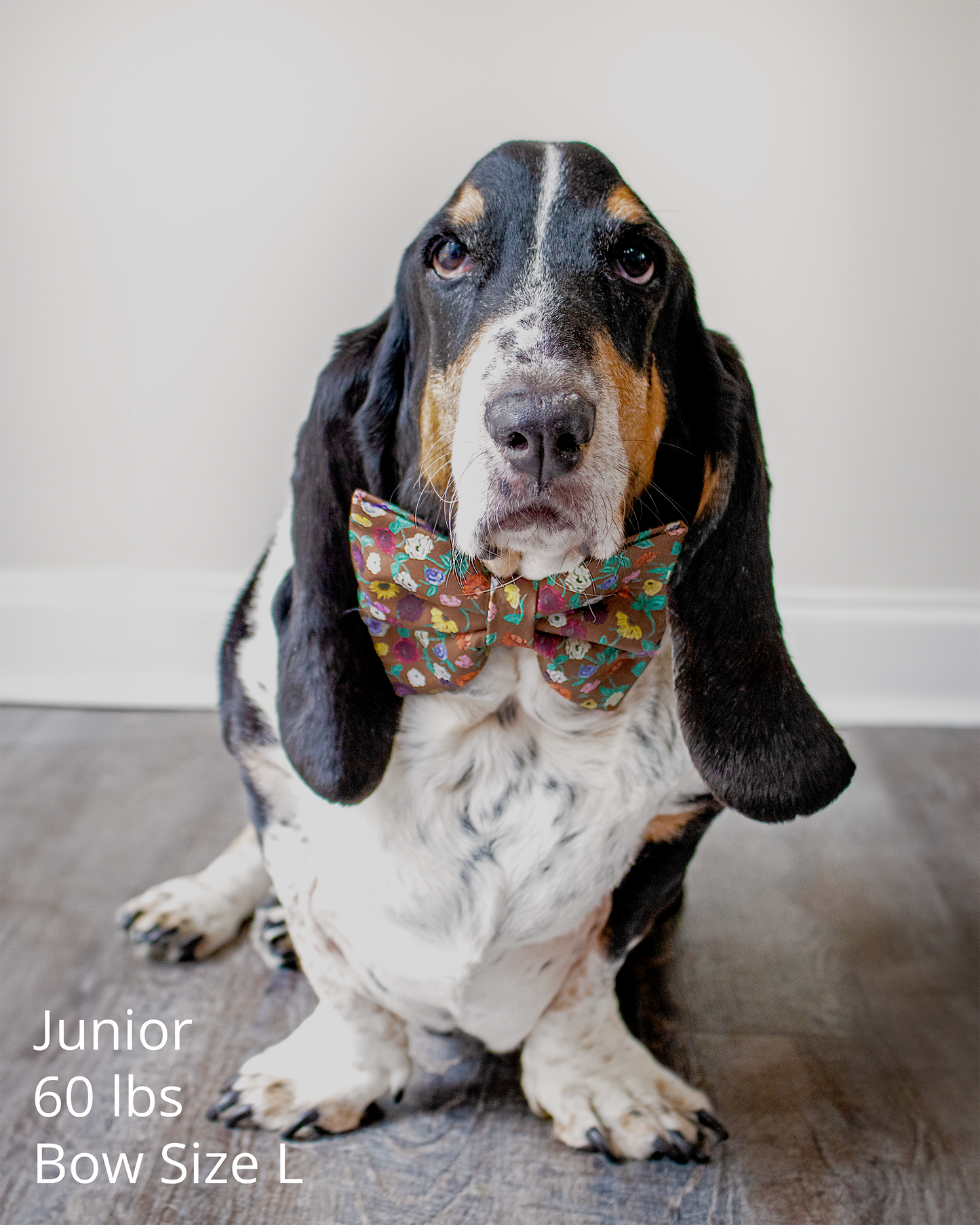 Acoustic Piano Floral Bow Tie