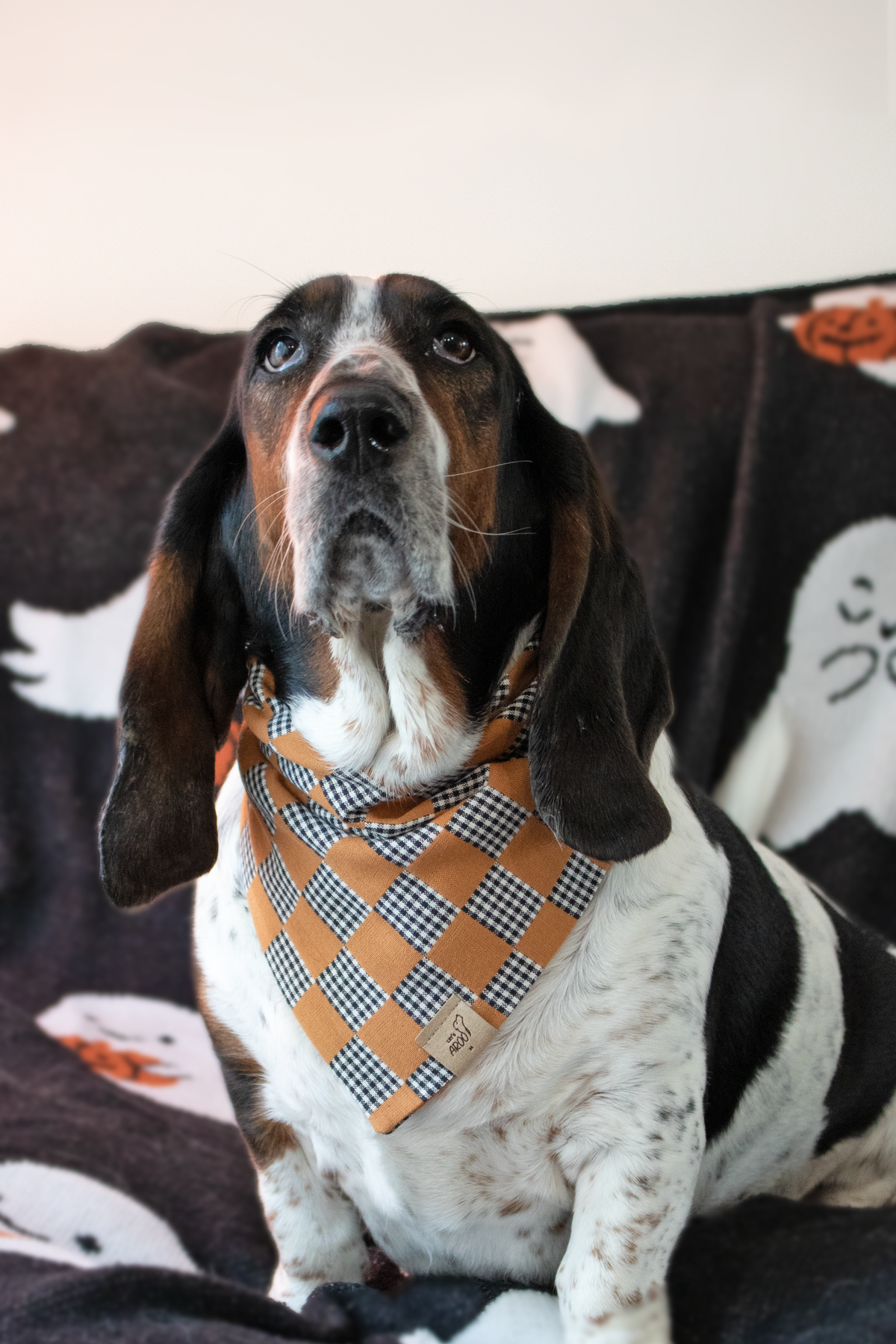 Checkered Plaid Bandana