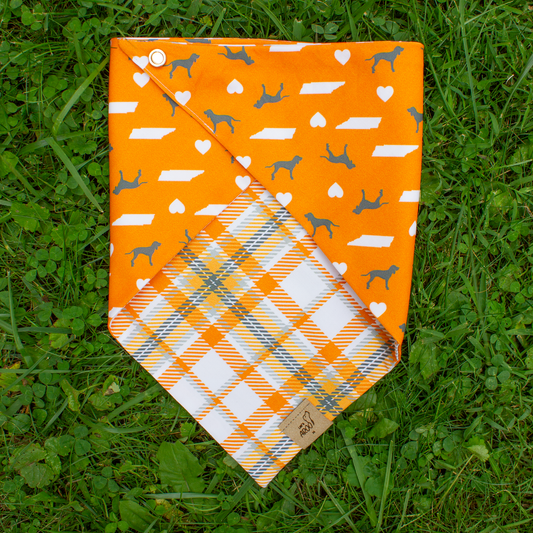 Orange dog bandana with pattern on grass