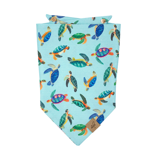 Sea Turtles Bandana