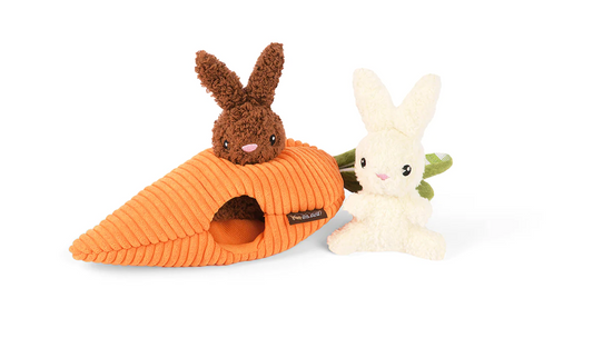 Carrot Bunnies Toy